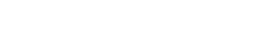 Insure Texas Now Logo
